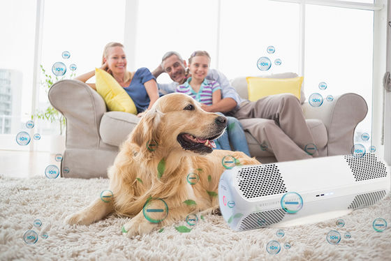 Απολυμαντικό αέρα ABS με ιδιωτική μούχλα σκοτώνει ιούς γρίπης H1N1 βακτήρια μύκητες OEM/ODM