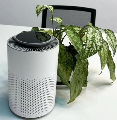 Ηλεκτρικό φίλτρο HEPA Καπνός Καπνός Αεροκαθαριστήρας με χαμηλότερο από 55 dB επίπεδο θορύβου