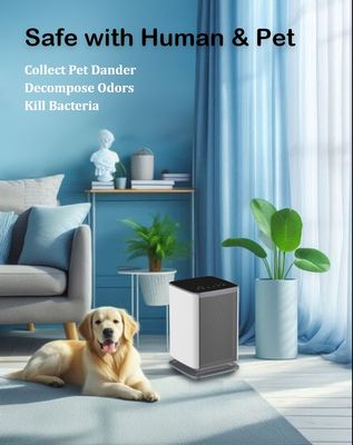 4.2 κιλά Απολυμαντής Αέρα Καθαρός και Υγιεινός Αέρας στα 12V DC με Πιστοποιήσεις FCC