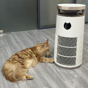 VDETTE HP01 Οζονικός καθαριστής αέρα HEPA με χρονοδιακόπτη 220V λευκό