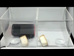 AS03 αποστειρωτής αέρα πλάσματος_Δοκιμή διατήρησης του ψωμιού